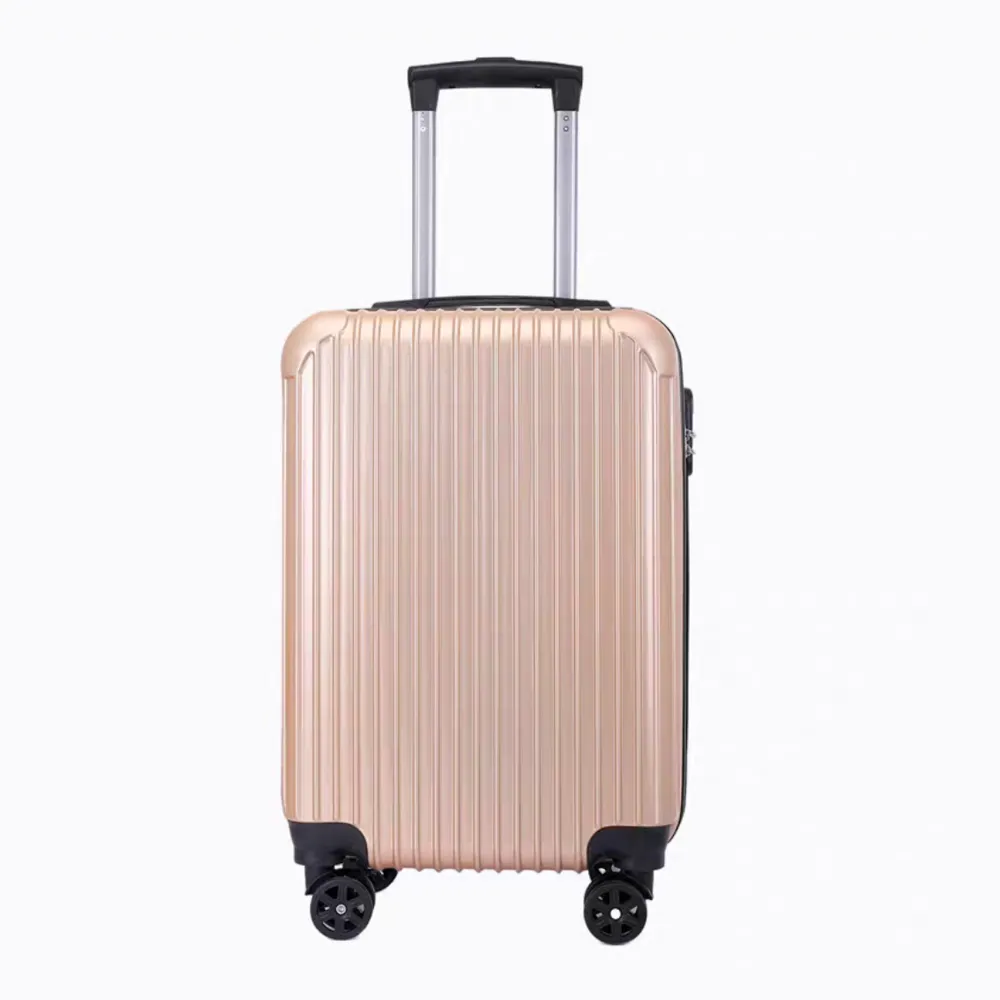 20" Luggage Case