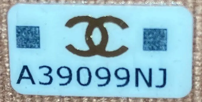 Chanel 19 Flap Coin Purse Belt Bag