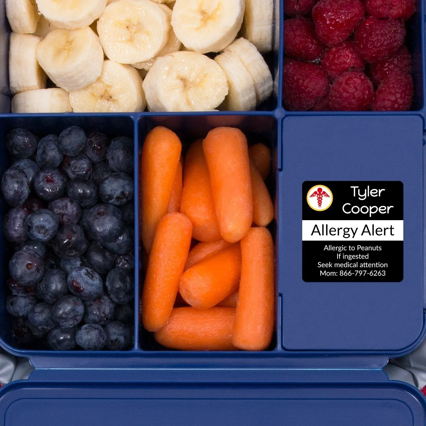 Multicolor Icon Allergy Labels
