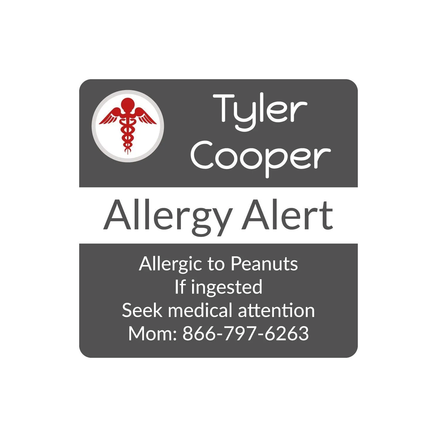 Multicolor Icon Allergy Labels