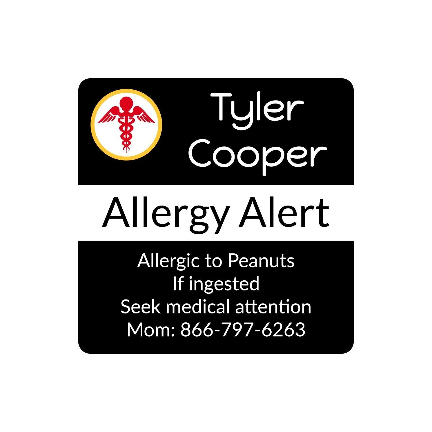 Multicolor Icon Allergy Labels