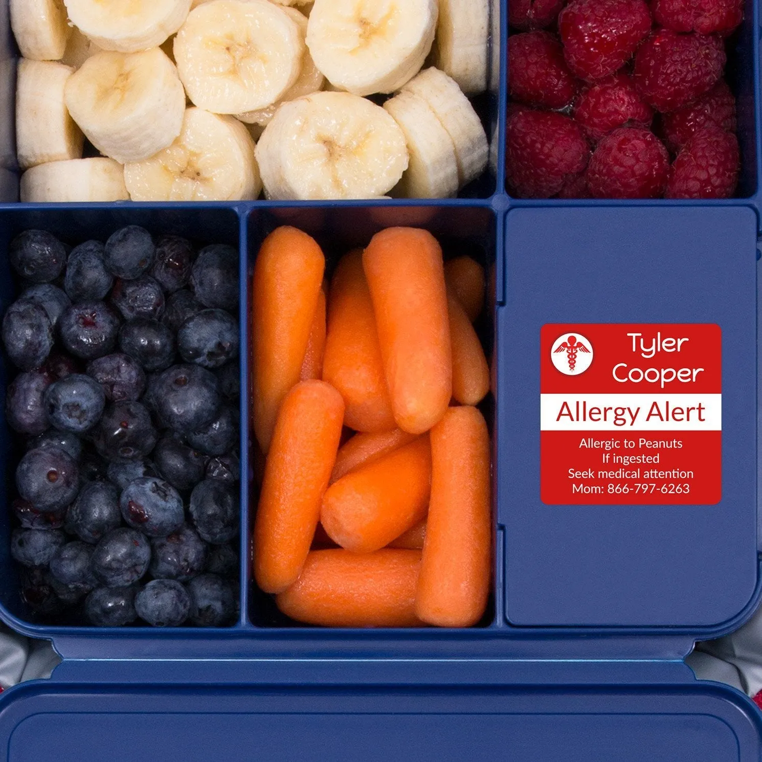 Multicolor Icon Allergy Labels