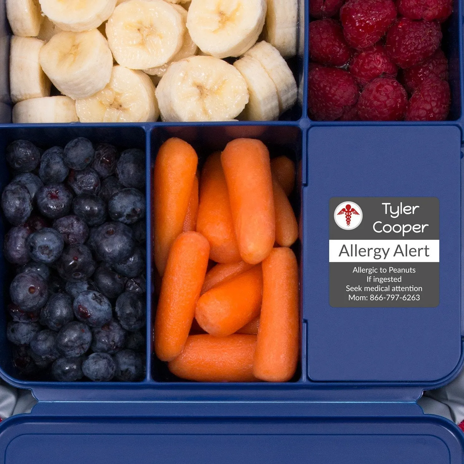Multicolor Icon Allergy Labels